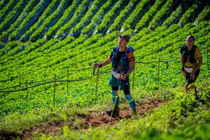 BIB: 
                            <button type="button" onclick="openModal(19161348)" class="btn btn-primary btn-sm float-right btn-popup" data-toggle="modal" data-target=".modal-high-quality">
                        <i class="fas fa-shopping-cart"></i> Add to Cart
                    </button>
                                            <button type="button" onclick="isThisMe(19161348, true)" class="btn btn-success btn-sm float-right btn-popup btn-isme hidden" data-toggle="tooltip" data-placement="bottom" title="นี่คือรูปของคุณใช่ไหม คลิกที่นี่เพื่อเอาเข้าอัลบั้ม">
                        <i class="fas fa-plus"></i> Add to album
                    </button>
                    <button type="button" onclick="isThisMe(19161348, false)" class="btn btn-warning btn-sm float-right btn-popup btn-isnotme hidden">
                        <i class="fas fa-ban"></i> Remove from album
                    </button>